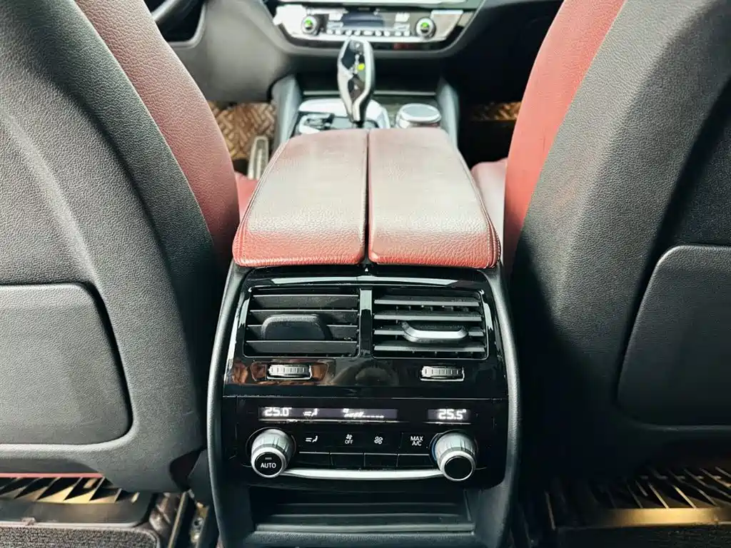 BMW 5 Series 2019 530Li Premium M Sport Package фото 21