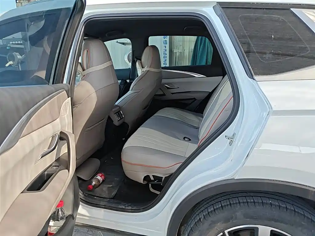 BYD Song Pro New Energy 2024 Glory Edition DM-i 71KM Pilot фото 17