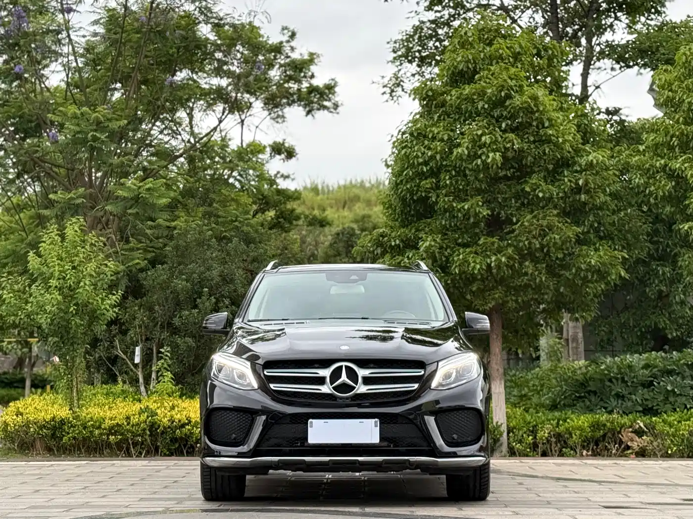 Mercedes-Benz GLE 2017 GLE 320 4MATIC Luxury фото 2
