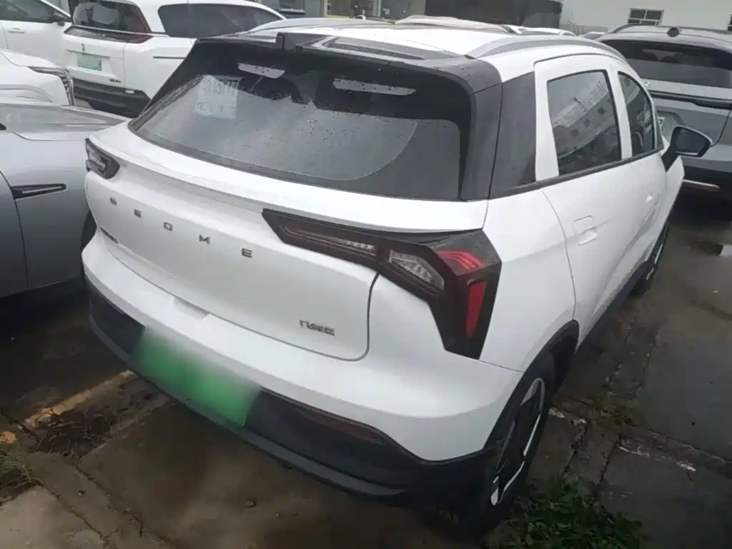 Geely Geometry E Firefly 2024 2024 Model 301km Light Flow