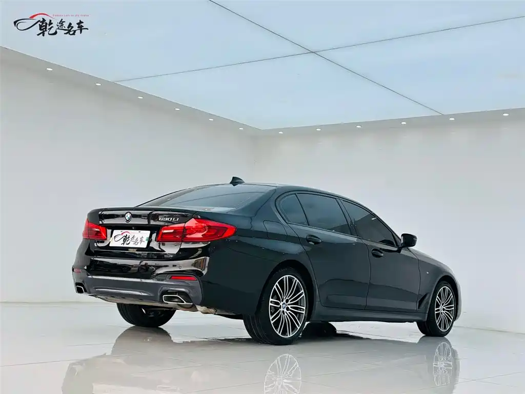 BMW 5 Series 2019 530Li Premium M Sport Package фото 7