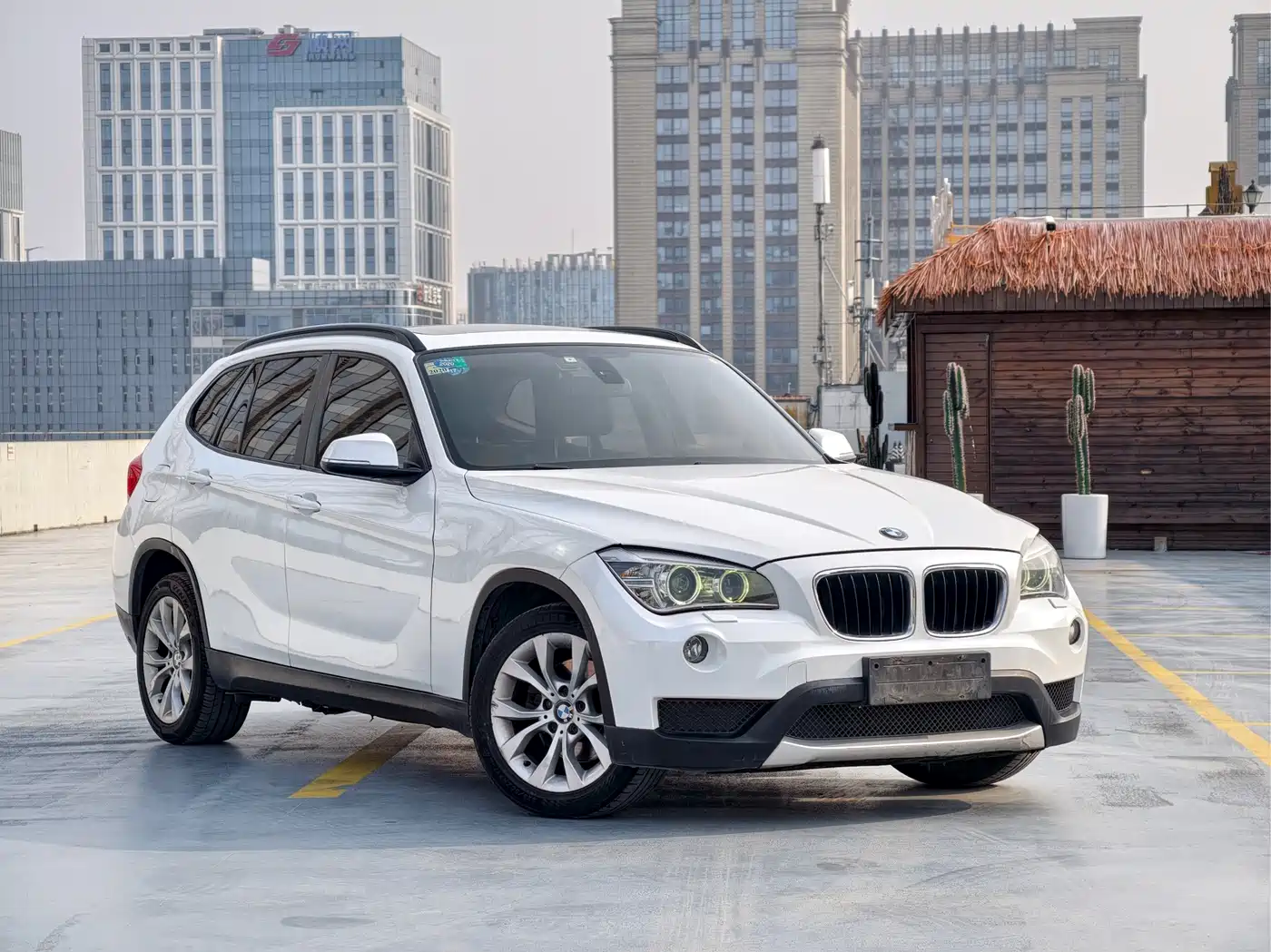 BMW X1 (Import) 2012 sDrive18i Luxury фото 4
