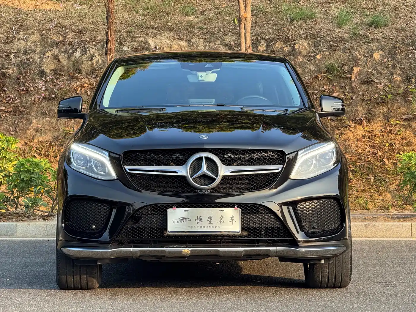 Mercedes-Benz GLE Coupe 2018 GLE 320 4MATIC Coupe SUV фото 2