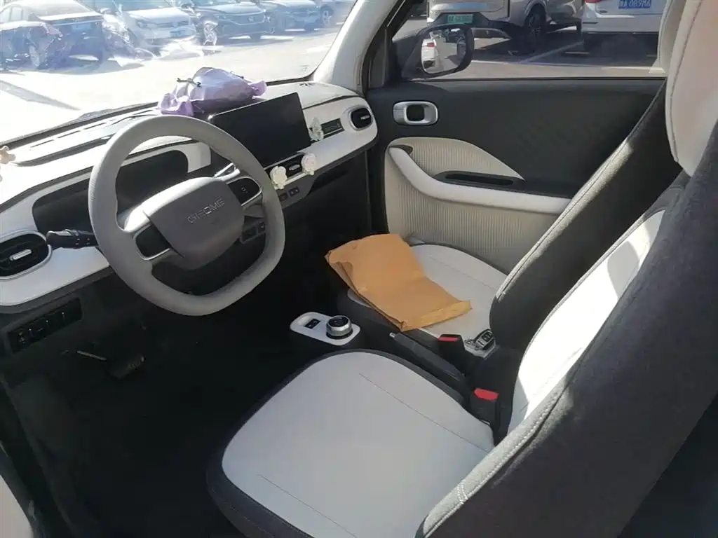 Geely Galaxy Panda 2025 Panda mini 210km Vitality Bear фото 15