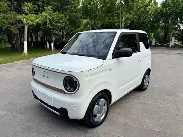 Geely Panda Panda, mini, Spring Festival, Сокровище, Bear