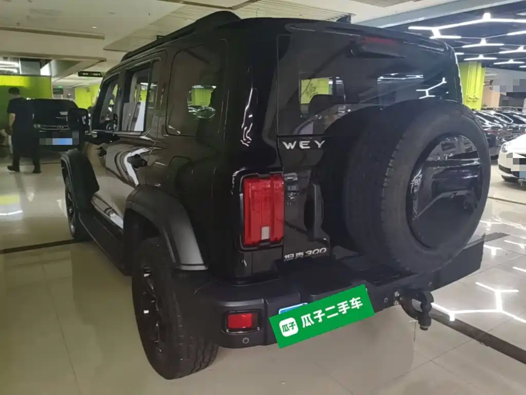 Tank 300 2021 2021 Off-road Version 2.0T Conqueror