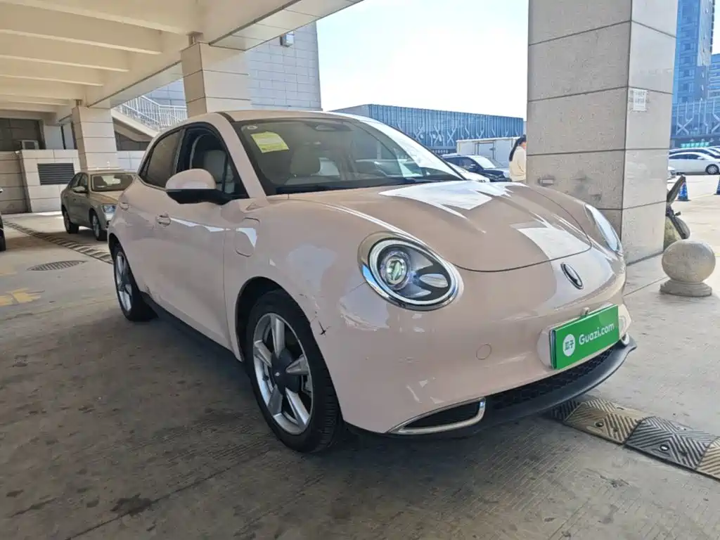 Ora Good Cat 2024 2023 401km Standard Range Luxury LFP