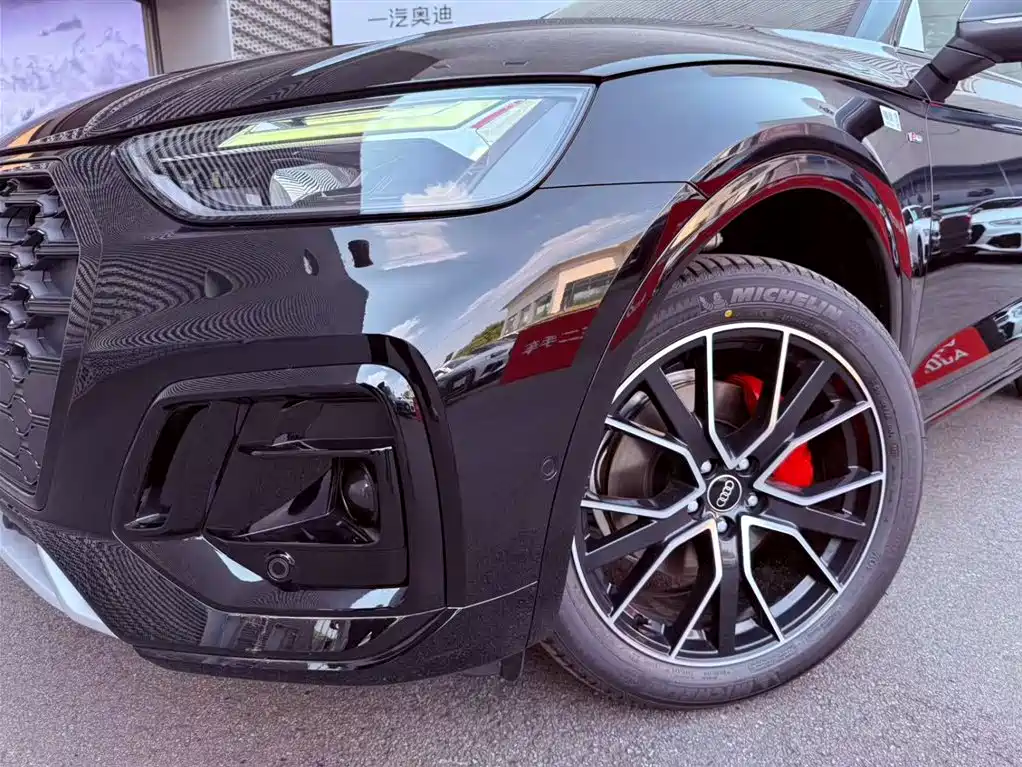 Audi Q5L 2025 Model Year Facelift 45th Anniversary Edition 45 TFSI Luxury Dynamic фото 16