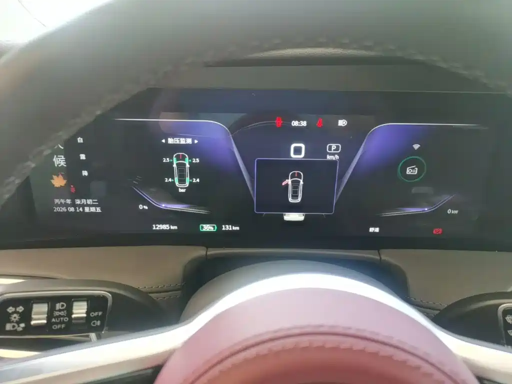 Hongqi E-HS9 2023 2021 460km Flagship Comfort 6-seater