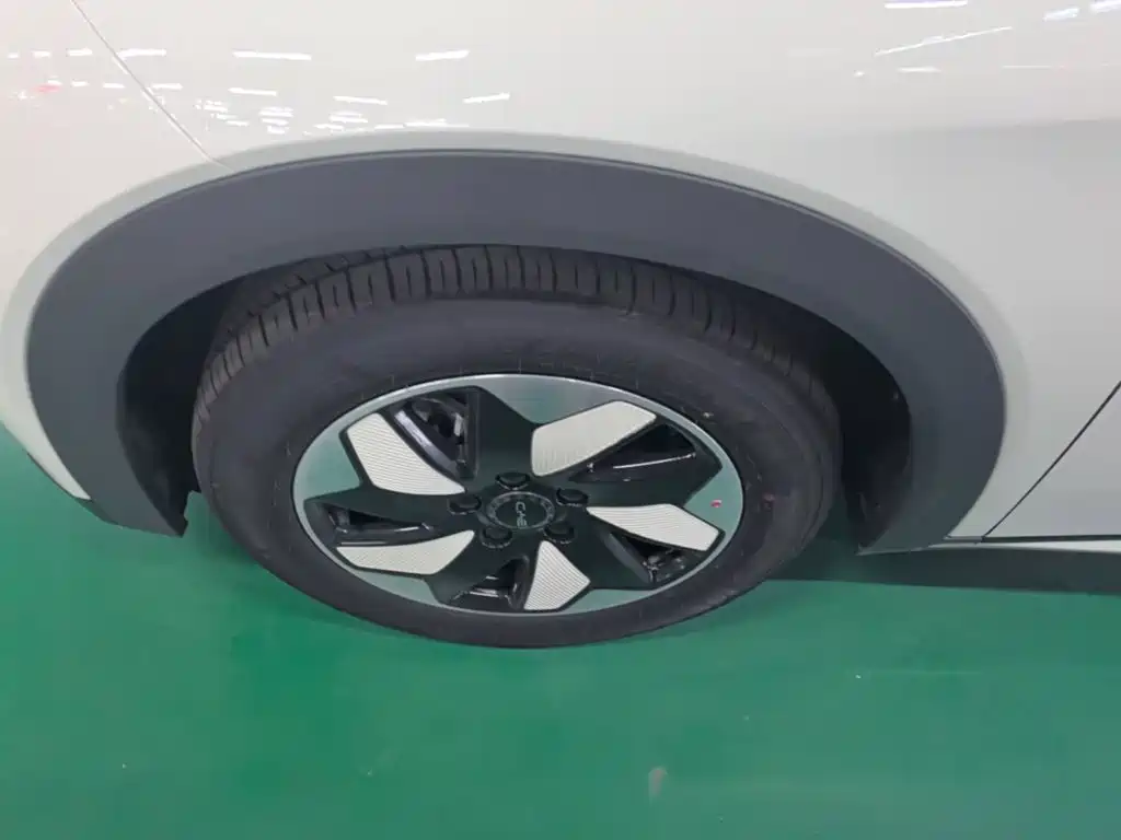 BYD Dolphin 2026 2025 420km Freedom Edition