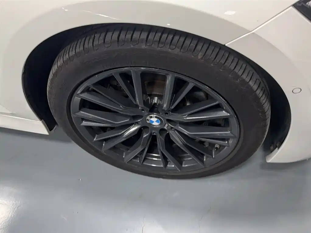 BMW 3 Series 2021 Second Facelift 325Li M Sport Night Package фото 5