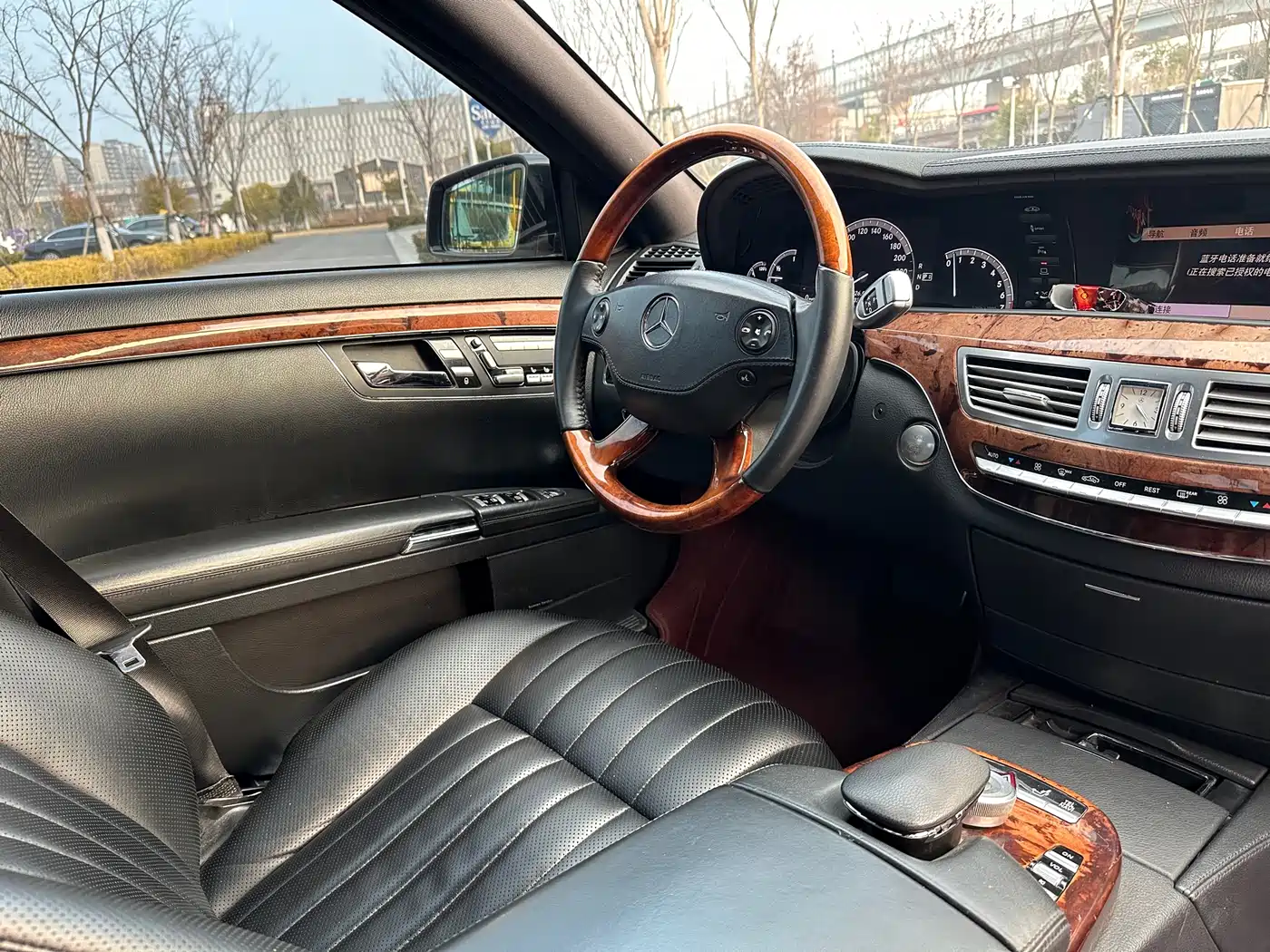 Mercedes-Benz S-Class 2010 S 300 L Luxury фото 11