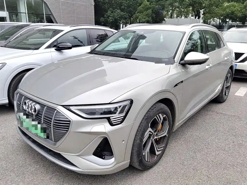 Audi e-tron 2021 50 quattro Exclusive Selection