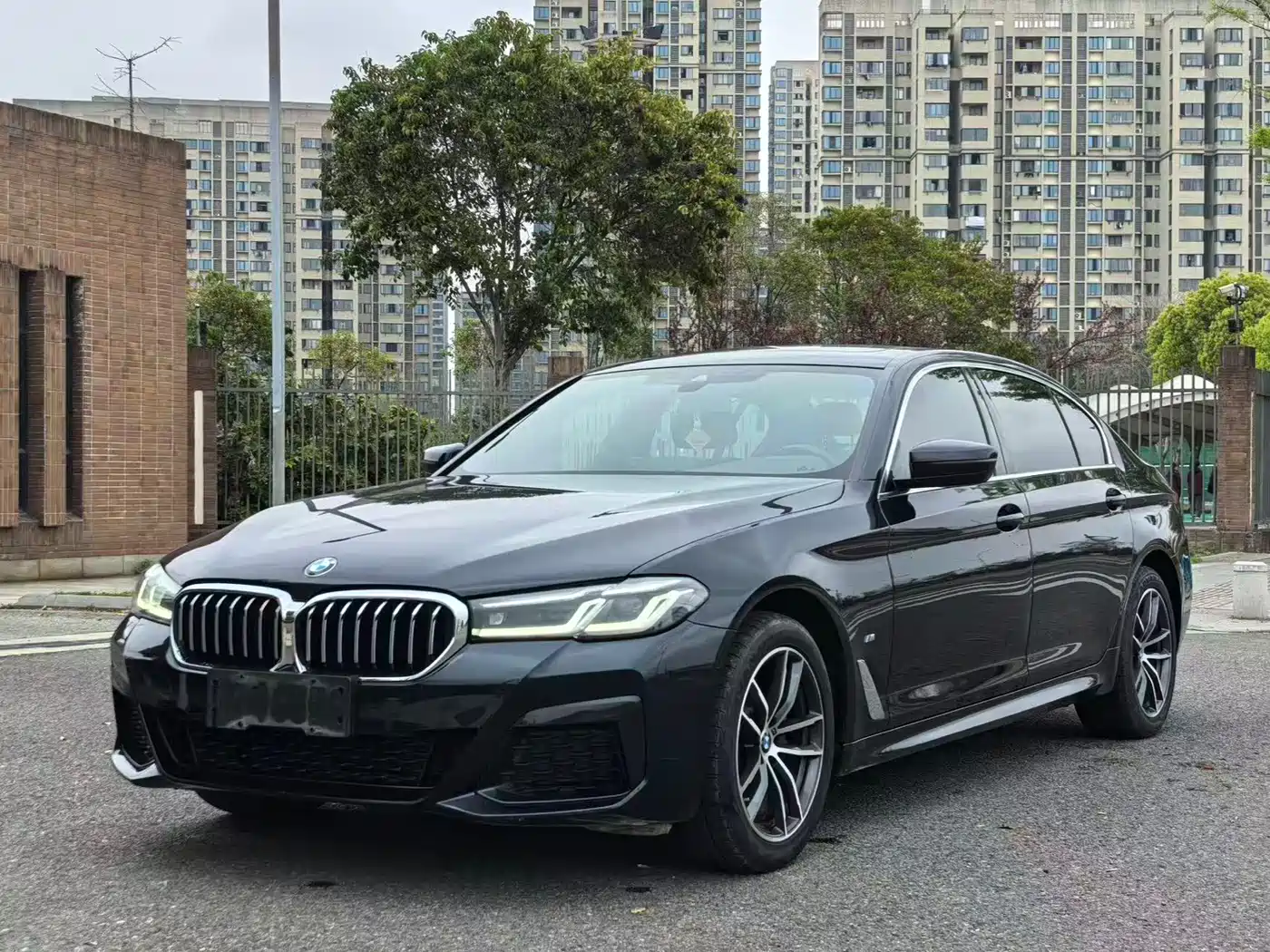 BMW 5 Series 2022 525Li Luxury Package