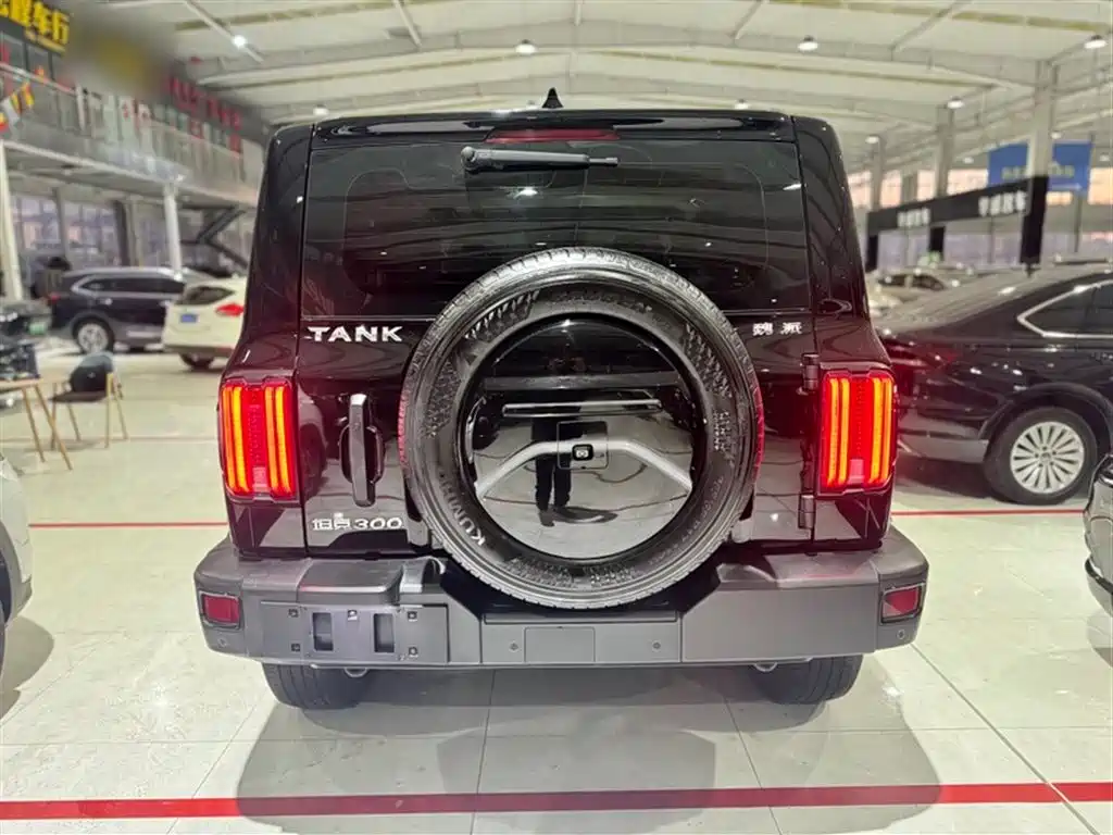 Tank 300 2021 Off-road Edition 2.0T Challenger фото 12