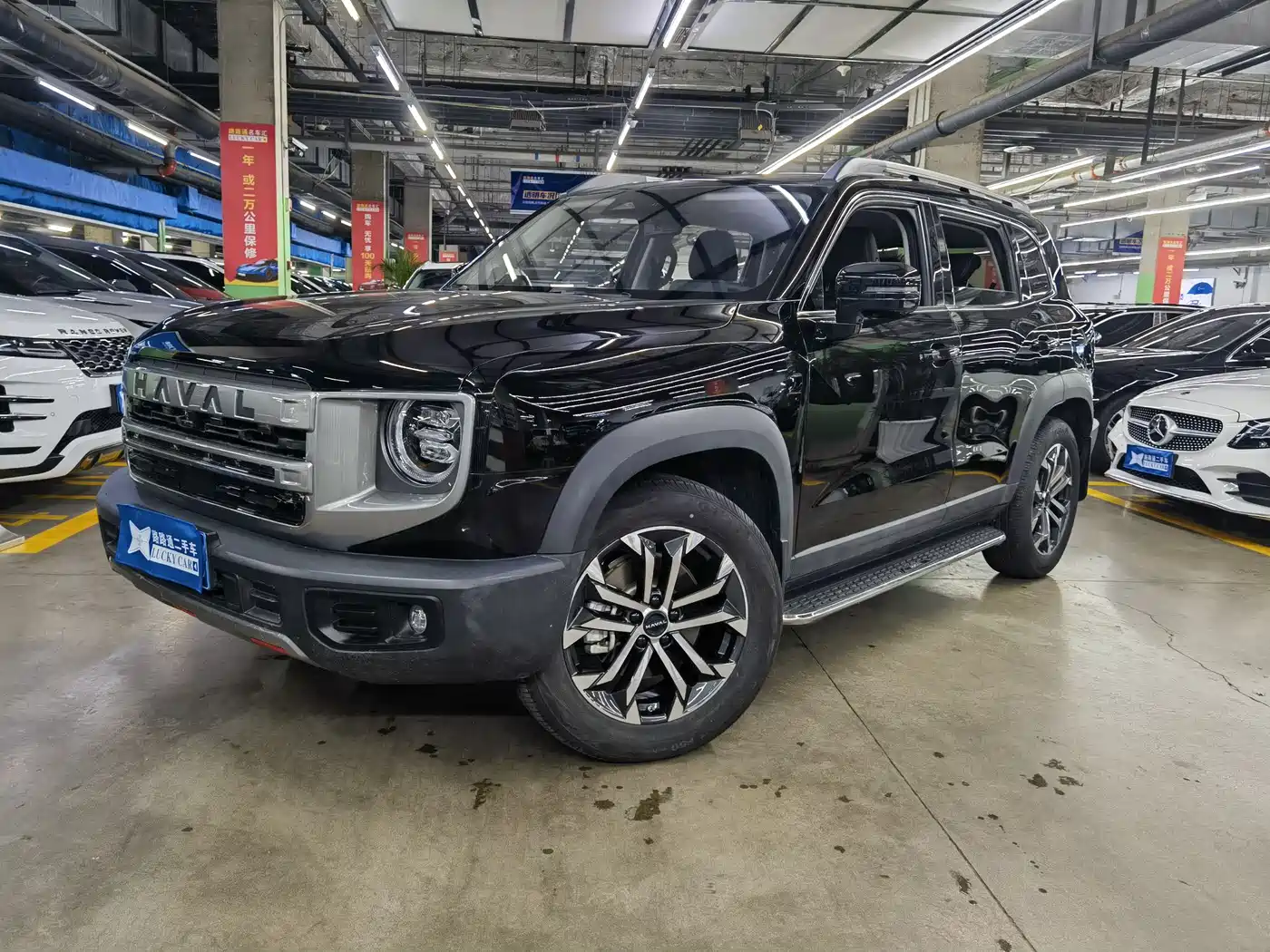 Haval Big Dog 2024 1.5T DCT Border Collie Edition