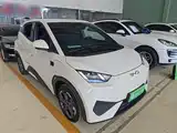 Фото 4 - BYD Seagull