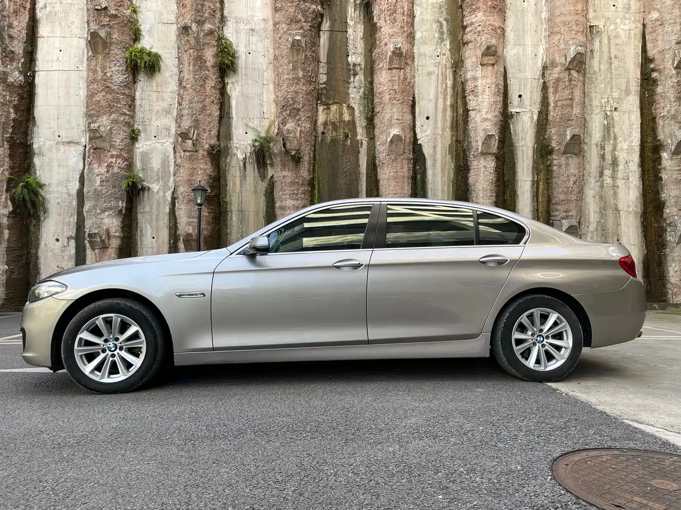 BMW 5 Series 2014 520Li Elegance фото 5