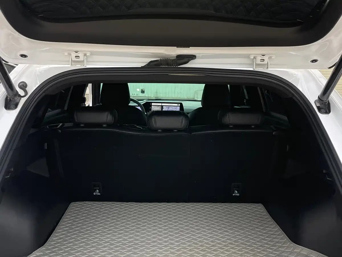 HAVAL DIVINE BEAST