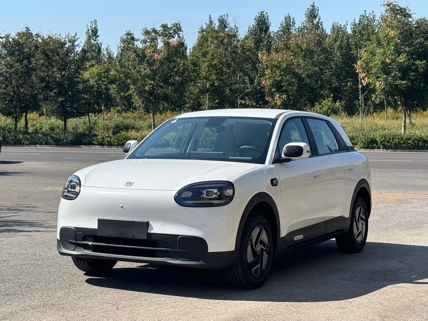 QQ New Energy QQ3 EV 2026 2026 Base Model