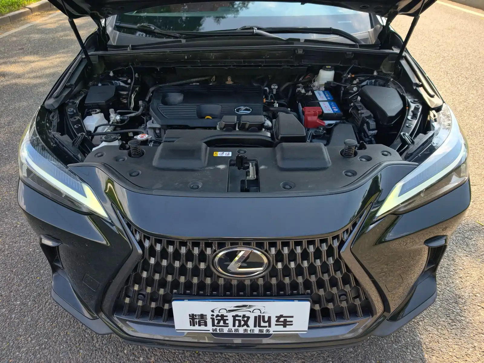 Фото 21 - Lexus NX