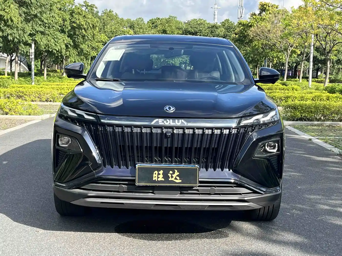 Dongfeng Aeolus Haoji 2025 2025 Mach Power 1.5T Luxury Model