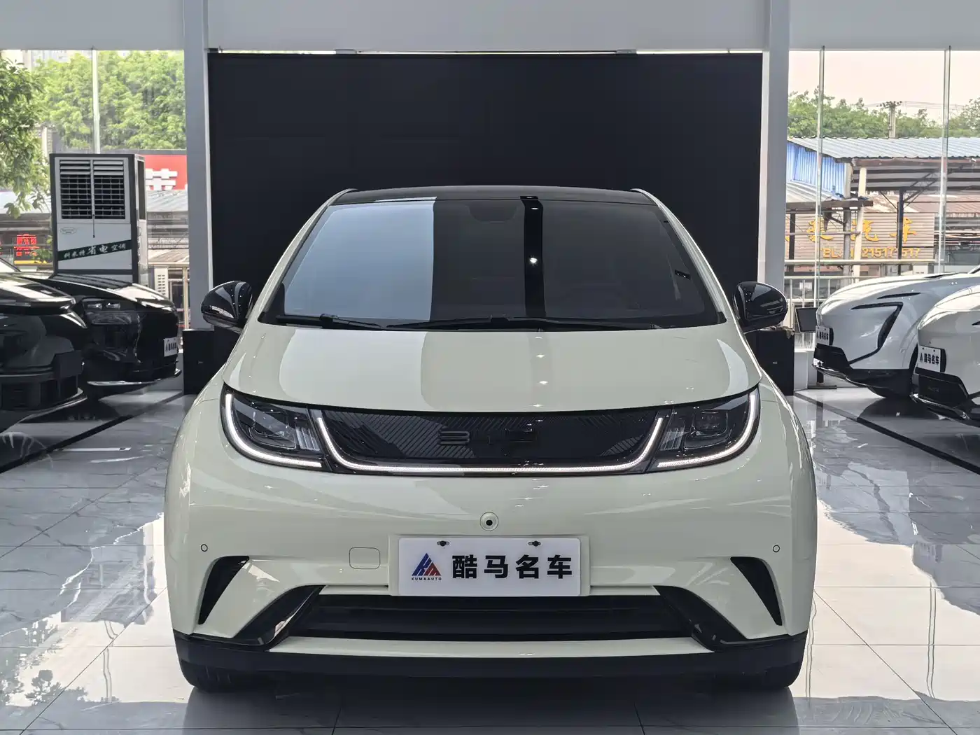 BYD Dolphin 2023 420km Fashion Edition фото 2