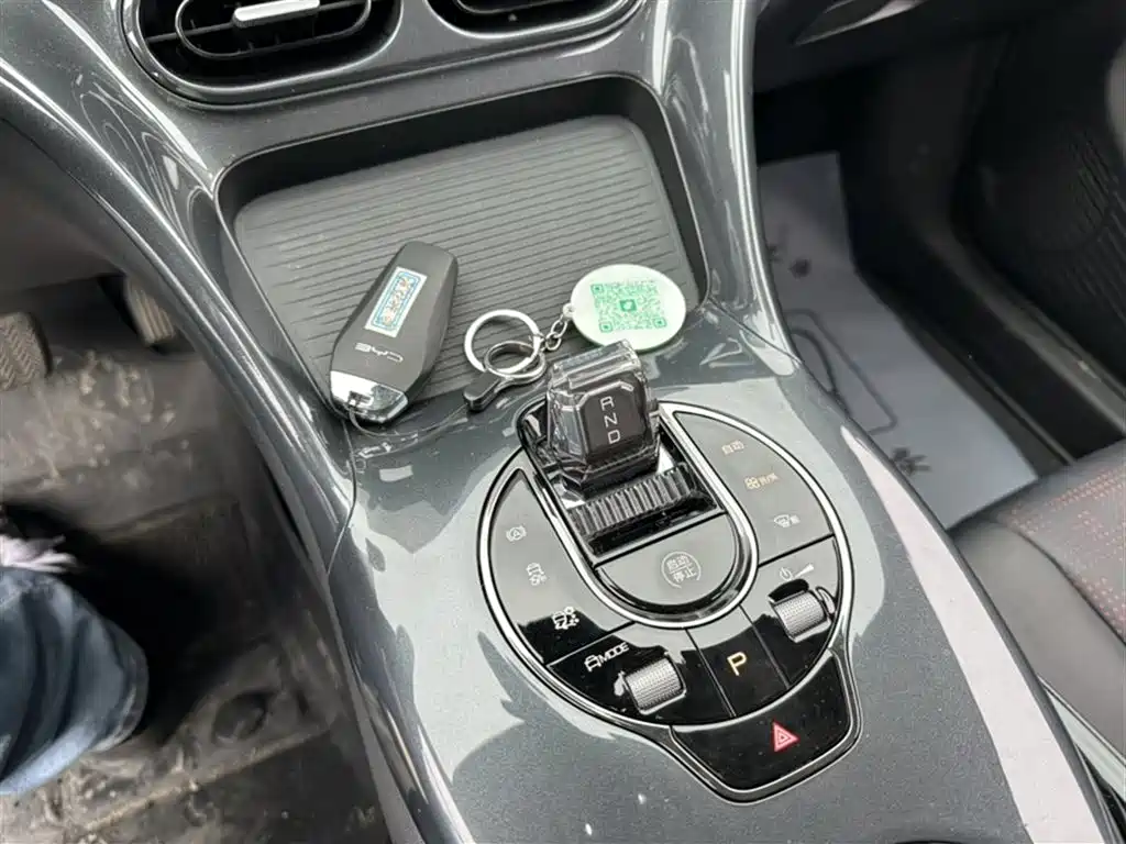BYD E2