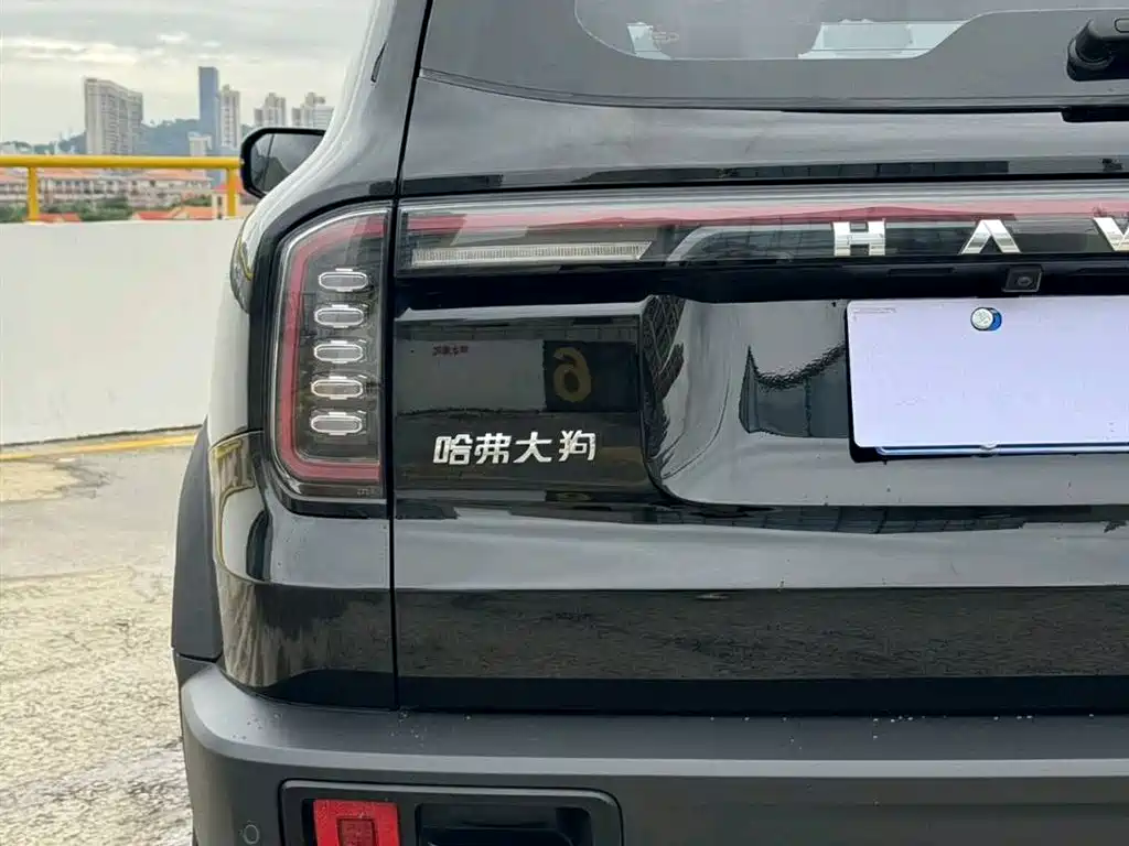 HAVAL BIG DOG