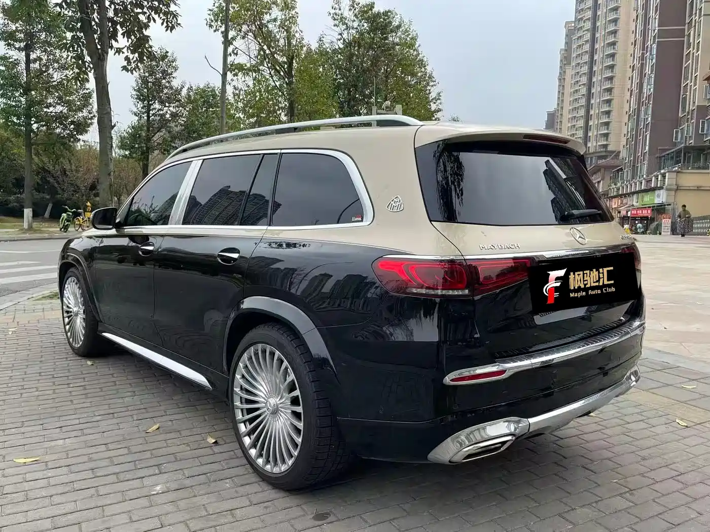 Mercedes-Benz Maybach GLS 2022 GLS 600 4MATIC Etiquette Edition фото 11