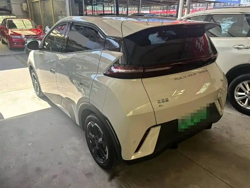 BYD Seagull 2023 Freedom Edition фото 7