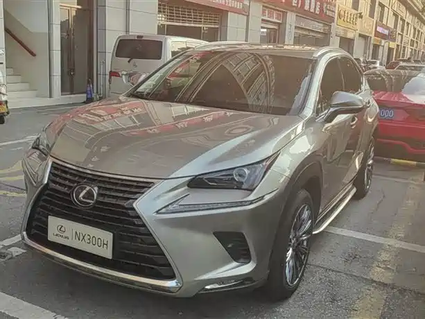 Lexus NX 2020 300h FWD F Sport China VI