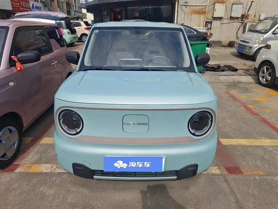 Geely Galaxy Panda 2023 Panda Mini 200km Endurance Bear фото 2