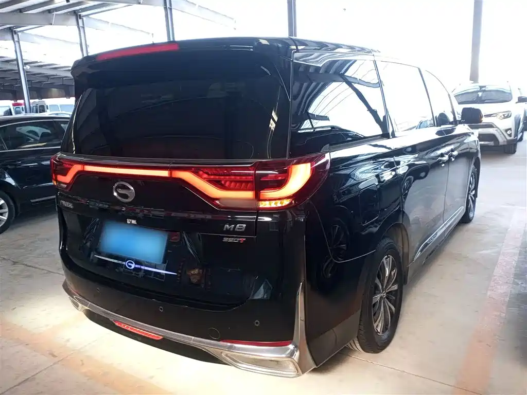 GAC Trumpchi Trumpchi M8 2023 Leading Series 390T Premium Edition фото 23