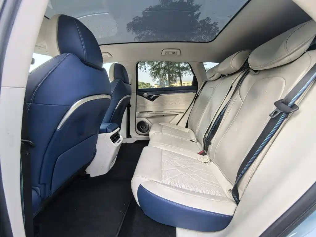 Voyah Free 2021 2021 AWD Standard Pure Electric Exclusive Luxury Package