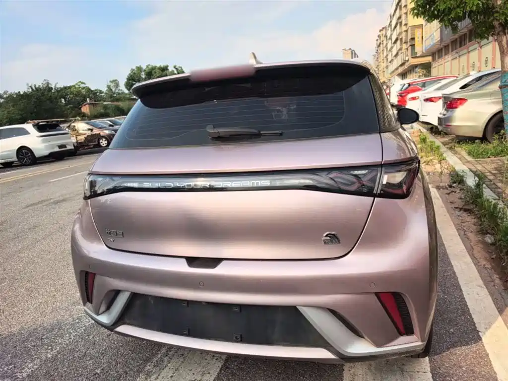 BYD Dolphin 2023 420km Fashion Edition фото 4