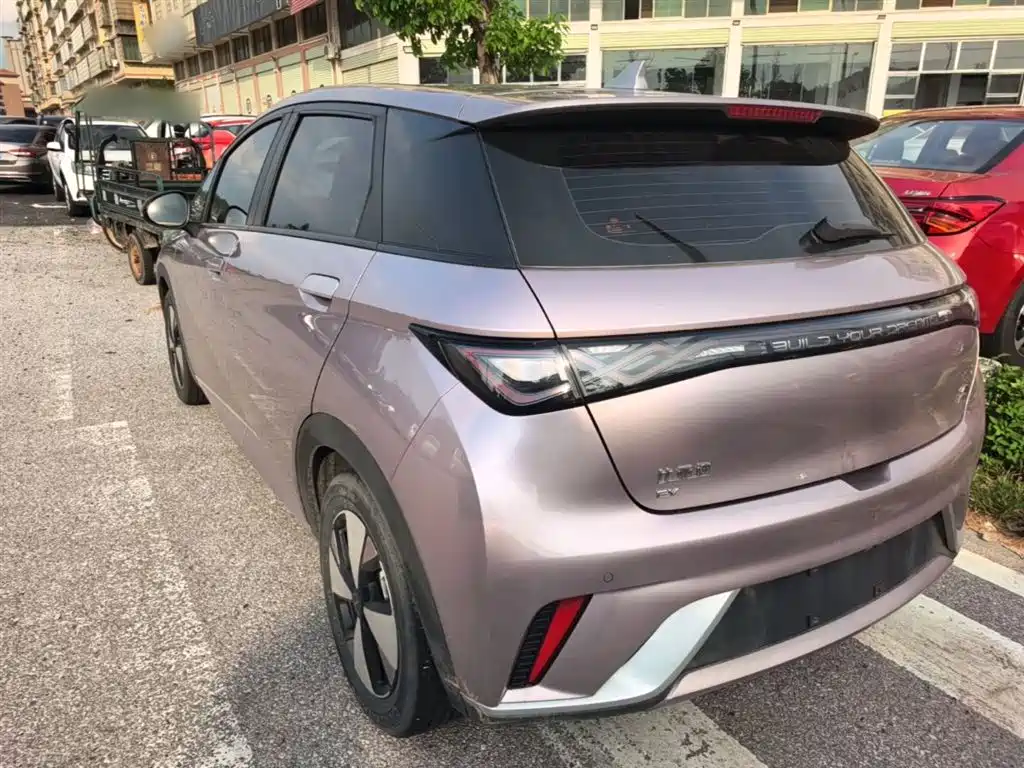 BYD Dolphin 2023 420km Fashion Edition фото 23