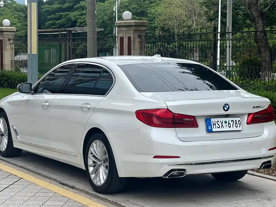 BMW 5 Series 2019 525Li Luxury Package фото 6
