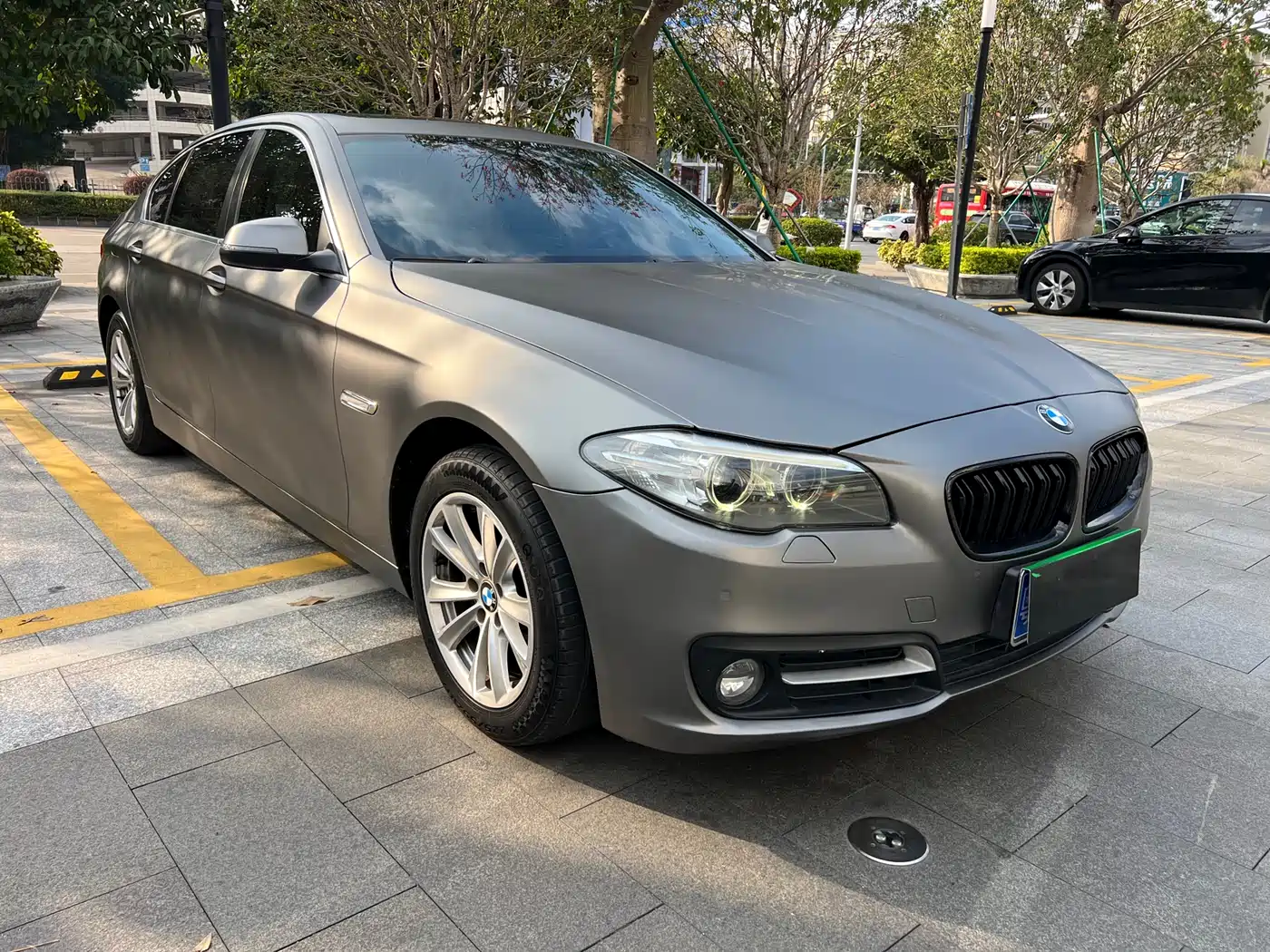 BMW 5 Series 2014 520Li Elegance фото 3