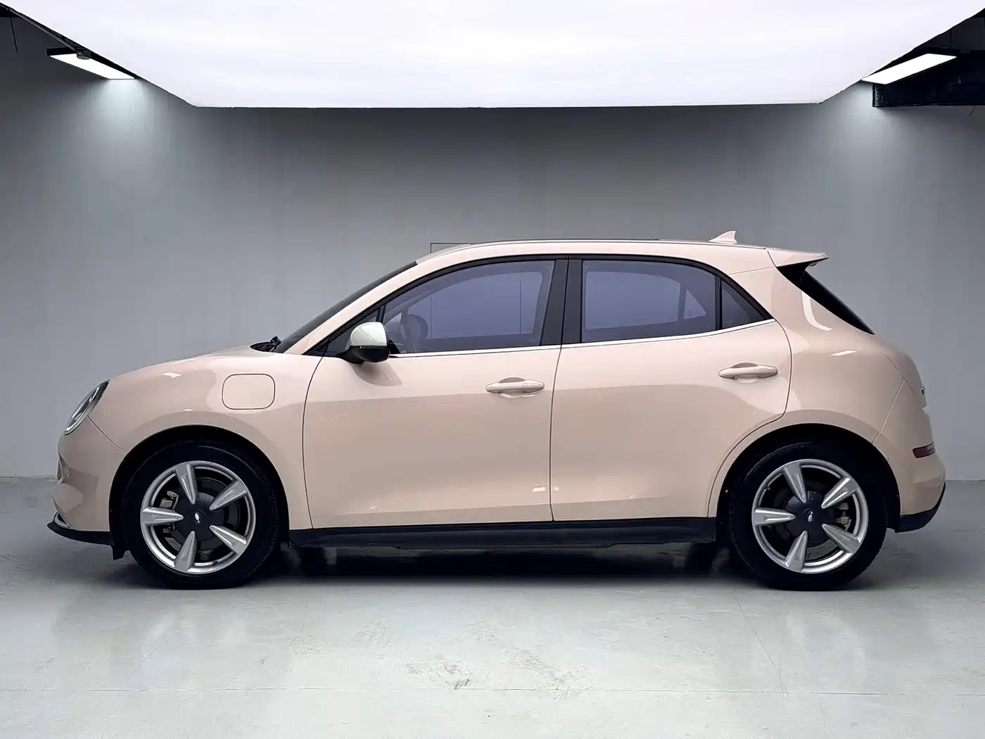 Ora Good Cat 2021 2021 400km Standard Range Venus Edition (LFP)