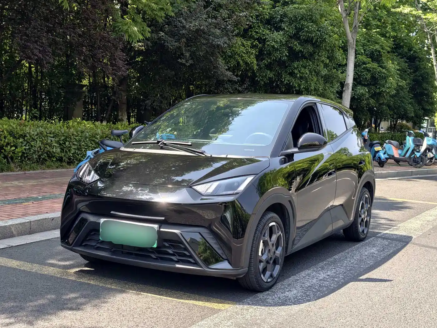 BYD Seagull 2024 Glory Edition 305km Freedom Edition