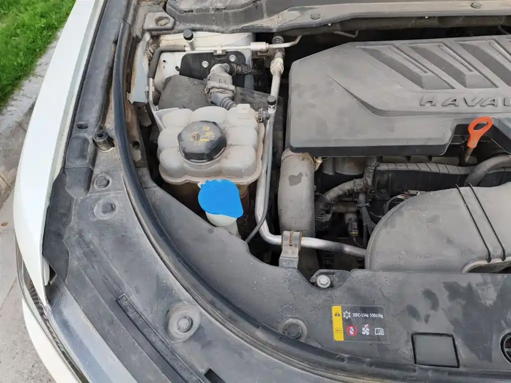 Haval H4 2019 1.5GDIT DCT Elite Smart Connection China VI фото 23