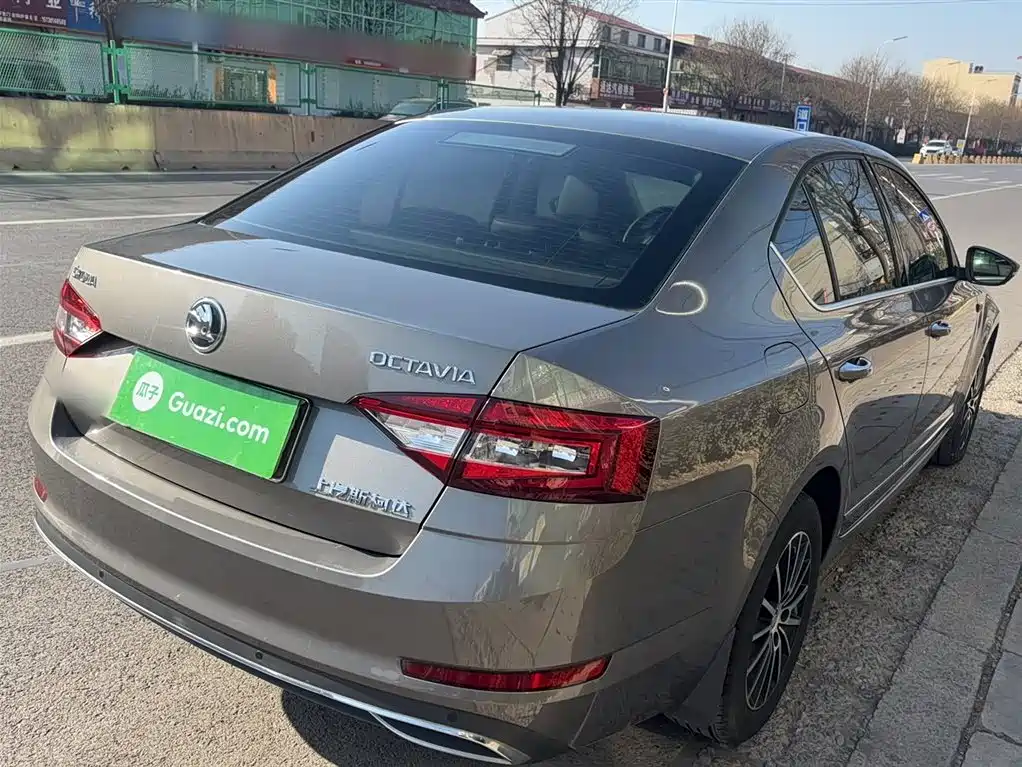 Škoda Octavia 2019 TSI230 DSG Luxury Edition фото 5