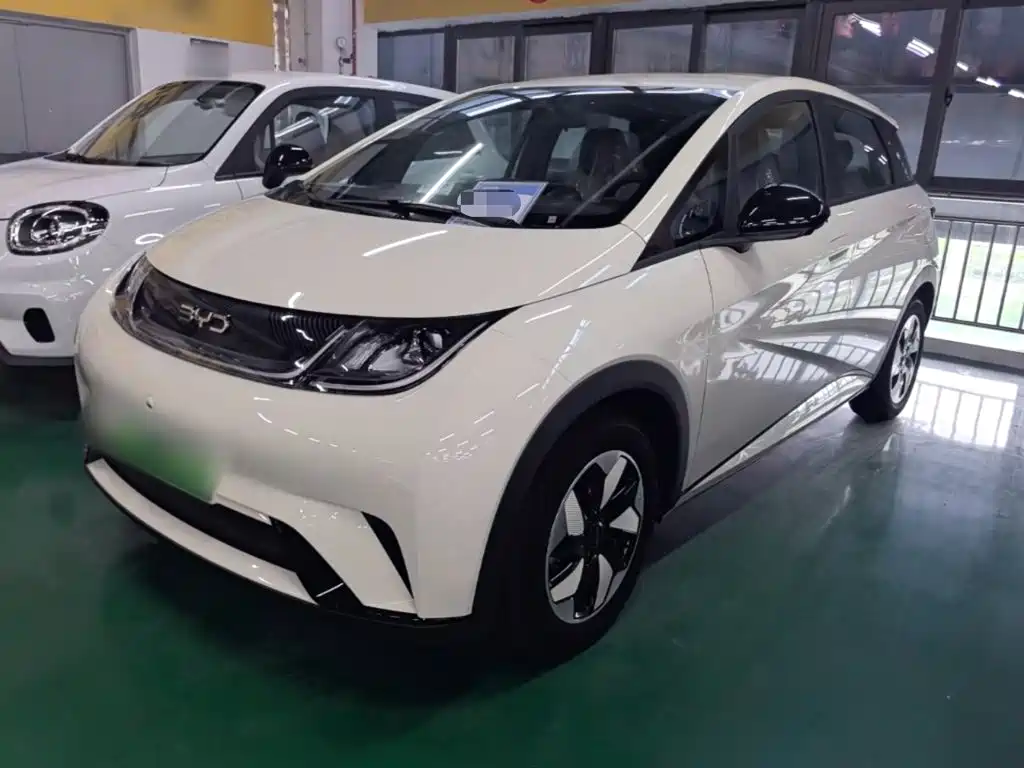 BYD Dolphin 2026 2025 420km Freedom Edition