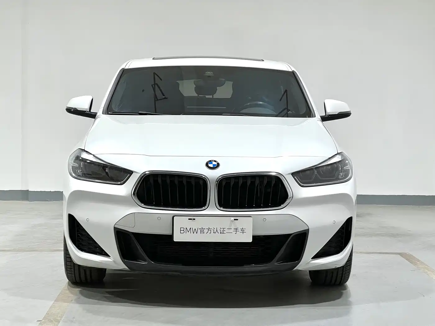BMW X2 2020 xDrive25i M Sport Package фото 3