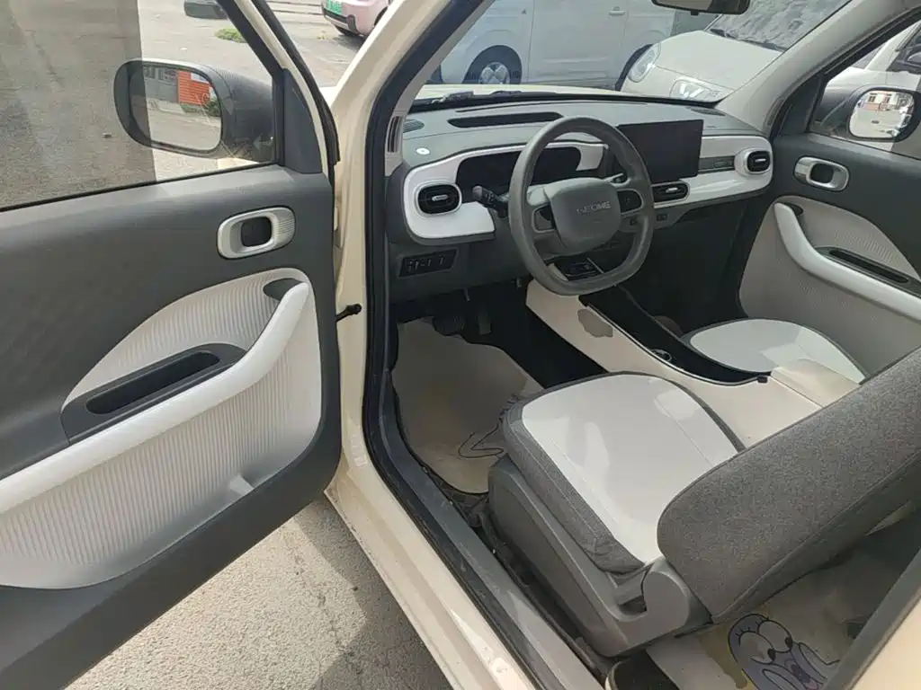 Geely Galaxy Panda 2025 2025 Panda mini 210km Vitality Bear