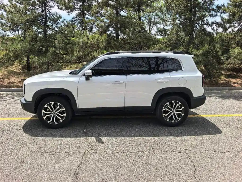 Haval Big Dog 2022 1.5T DCT FWD Border Collie Edition фото 8