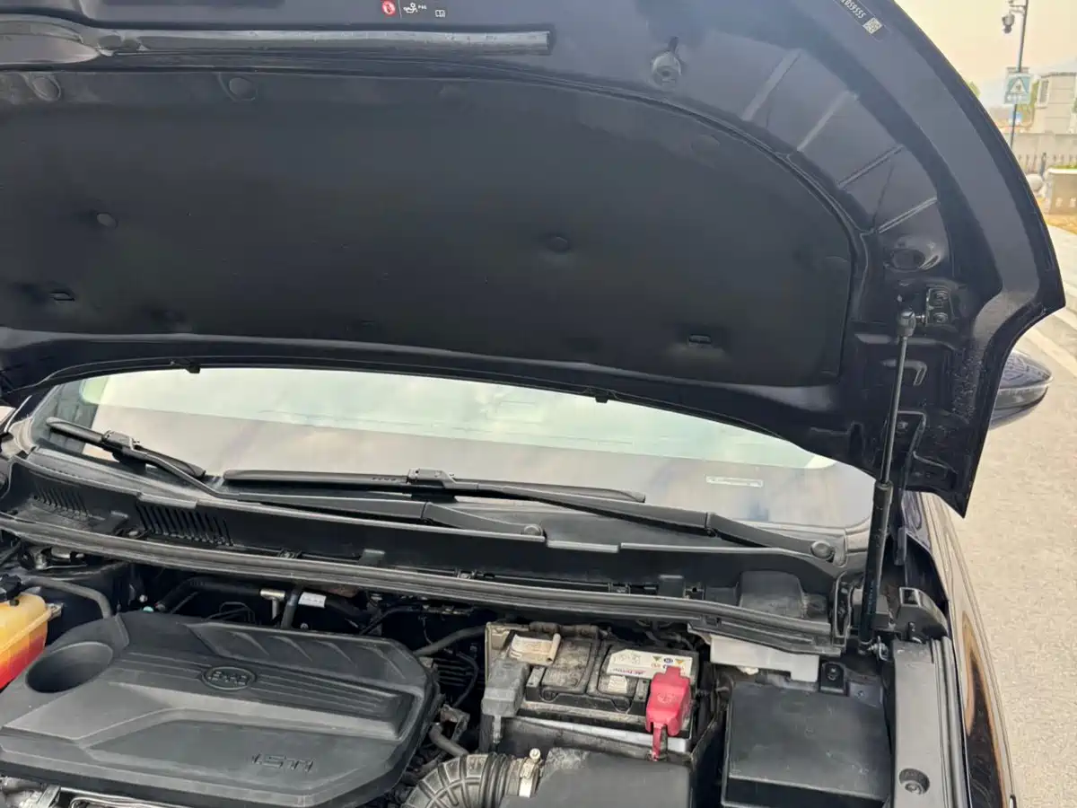BYD Song MAX 2019 1.5T Auto Smart Connected Sunroof 7-seater China VI фото 16