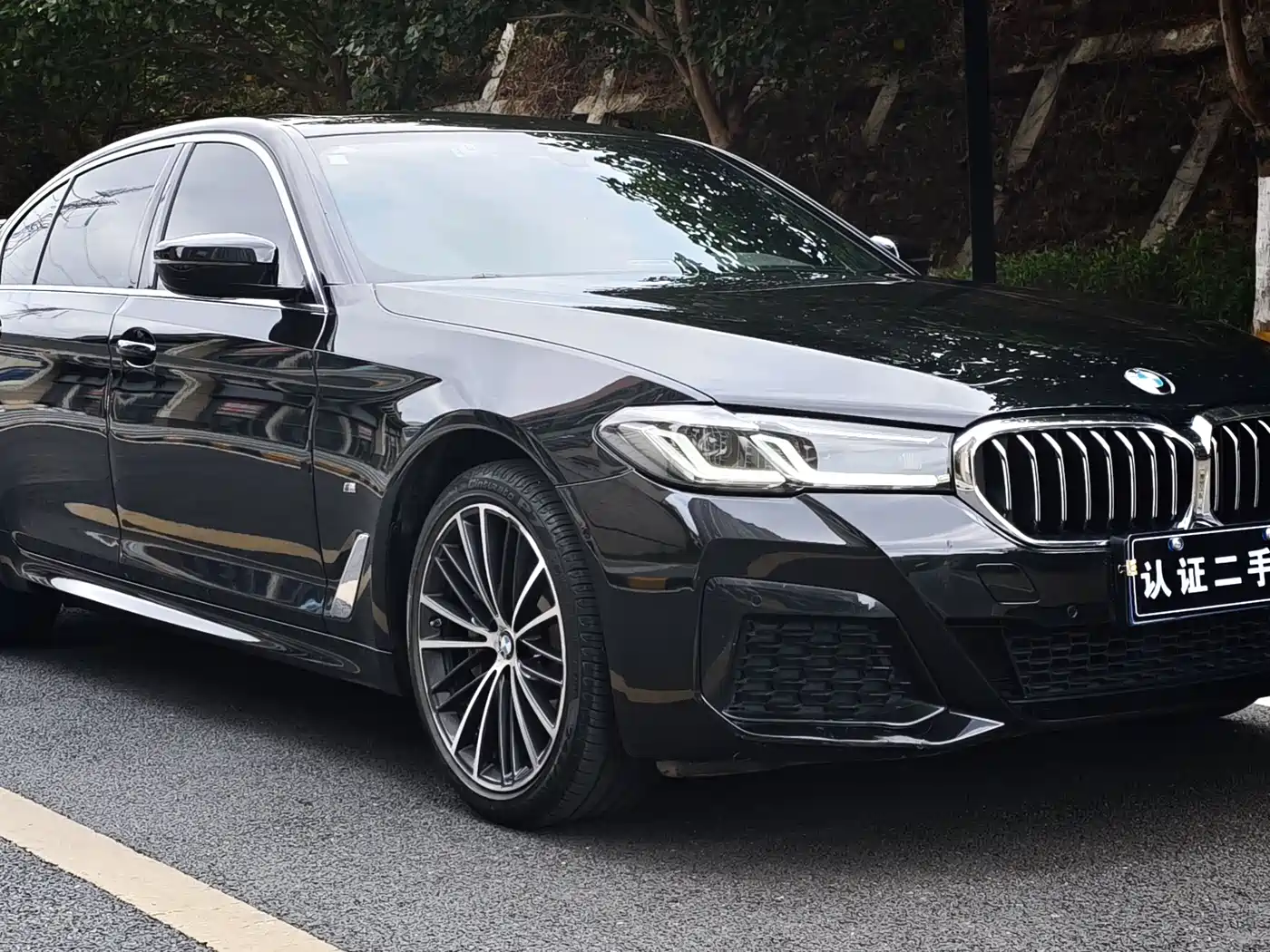 BMW 5 Series 2021 530Li Leading Luxury Package фото 3