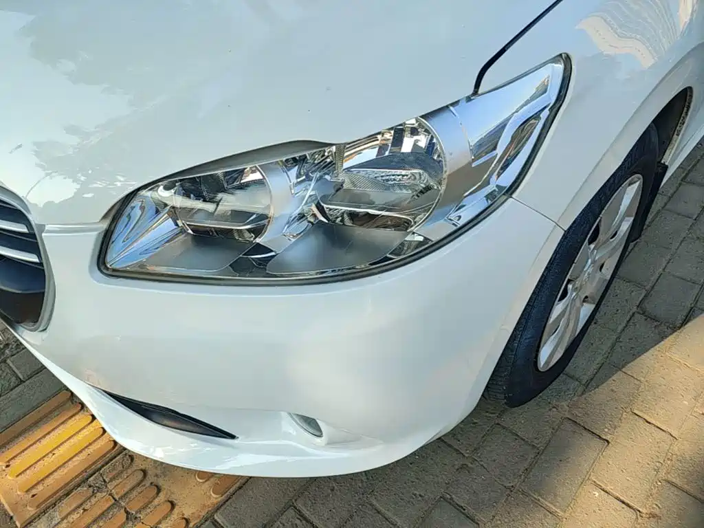 صورة 24 - Peugeot 301